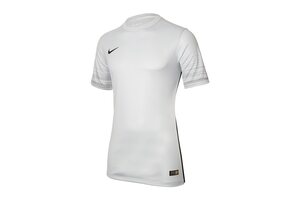 Футболка  CLUB GEN LS GK P JSY Nike 678165-043