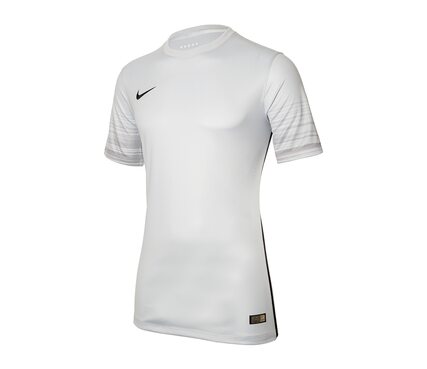 Футболка  CLUB GEN LS GK P JSY Nike 678165-043
