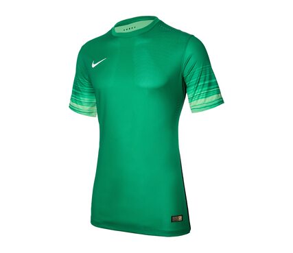 Футболка  CLUB GEN LS GK P JSY Nike 678165-319