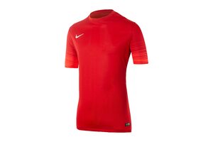 Футболка  CLUB GEN LS GK P JSY Nike 678165-605