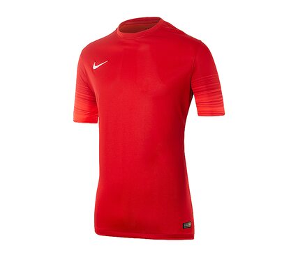 Футболка  CLUB GEN LS GK P JSY Nike 678165-605