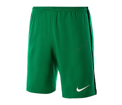 Шорты футбольные Nike CLUB GEN GK P SHORT 678166-319