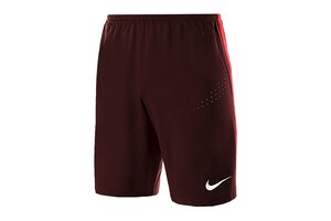 Шорты футбольные Nike CLUB GEN GK P SHORT 678166-634