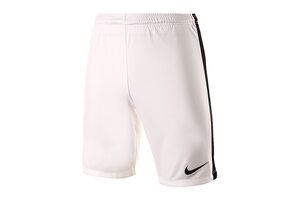 Шорты игровые футбольные Nike League Knit Short 725881-100