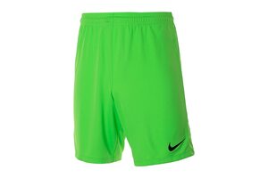 Шорты  GARDIEN Nike 725881-398