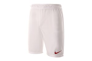 Шорты игровые футбольные Nike Park II Knit Short 725887-102
