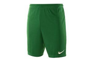 Шорты игровые футбольные Nike PARK II KNIT SHORT NB 725887-302