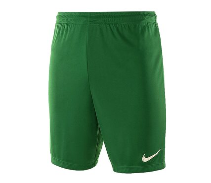 Шорты игровые футбольные Nike PARK II KNIT SHORT NB 725887-302