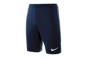 Шорты игровые футбольные Nike PARK II KNIT SHORT NB 725887-410