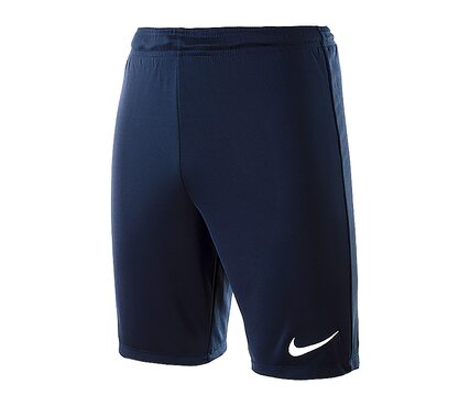 Шорты игровые футбольные Nike PARK II KNIT SHORT NB 725887-410