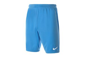 Шорты игровые футбольные Nike Park II Knit 725887-412