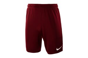 Шорти Park II KNIT SHORT NB Nike 725887-677