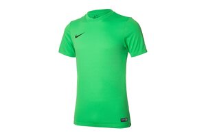 Футболка игровая футбольная Nike PARK VI GAME JERSEY 725891-303