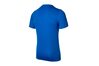 Купить Футболка  Park VI Jersey Nike 725891-463 - оригинал, гарантия