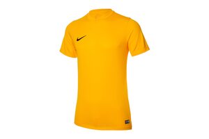 Футболка игровая футбольная Nike PARK VI GAME JERSEY 725891-739