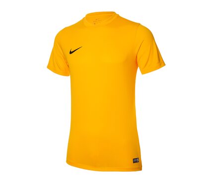 Футболка игровая футбольная Nike PARK VI GAME JERSEY 725891-739