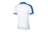 Купить Футболка  Striker IV Nike 725892-100 - оригинал, гарантия