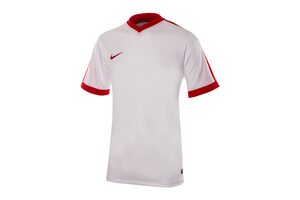 Футболка  Striker IV Nike 725892-101