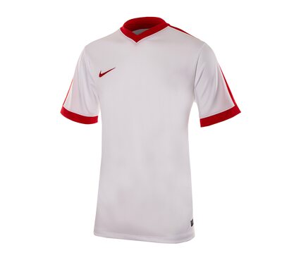 Футболка  Striker IV Nike 725892-101