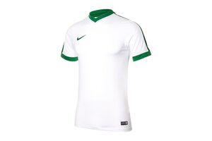 Футболка игровая футбольная Nike Striker IV 725892-102
