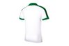 Купить Футболка игровая футбольная Nike Striker IV 725892-102 - оригинал, гарантия