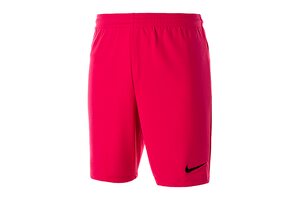 Шорты  PARK II KNIT SHORT WB (SP16) Nike 725903-616