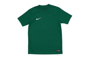 Футболка спортивная детская  Nike PARK VI JSY SS JR 725984-302
