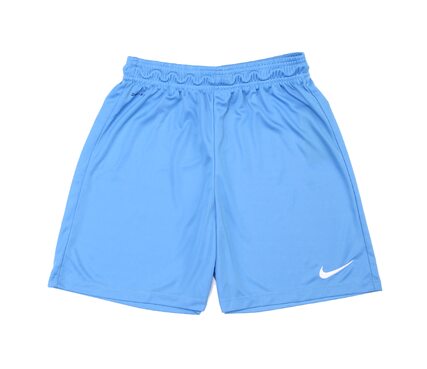Шорты футбольные детские Nike PARK II KNIT SHORT NB 725988-412