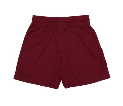 Шорты  PARK II KNIT SHORT NB Nike 725988-677