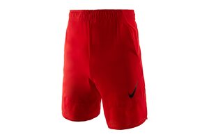 Шорты  FLEX Nike 742242-657