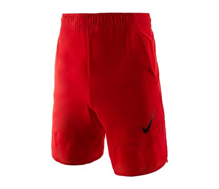 Шорты  FLEX Nike 742242-657
