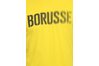 Купить Футболка  Borussia Dortmund Fan Nike 750725-01 - оригинал, гарантия