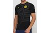Купить Nike Borussia Dortmund Fan 750728-02 - оригинал, гарантия