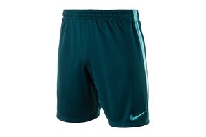 Шорты  M SHORT SQD PR Nike 818655-346
