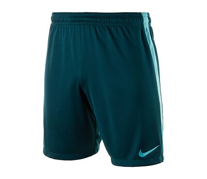 Шорты  M SHORT SQD PR Nike 818655-346