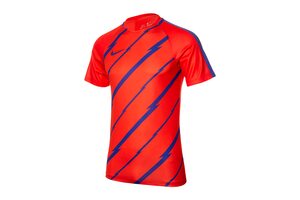 Футболка  M NK DRY SQD TOP SS GX Nike 832999-852