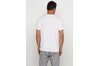 Купить Nike M NSW TEE PRNT PK GAME 834717-101 - оригинал, гарантия