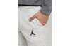Купить Nike WINGS FLEECE PANT 860198-073 - оригинал, гарантия