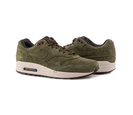 Кроссовки спортивные Nike AIR MAX 1 PREMIUM 875844-301
