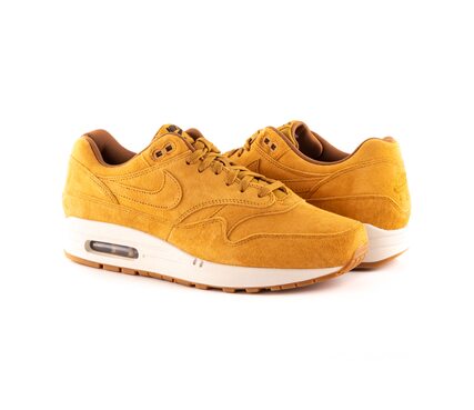 Кроссовки спортивные Nike AIR MAX 1 PREMIUM 875844-701
