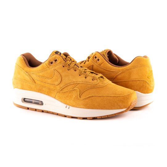Купить Кроссовки спортивные Nike AIR MAX 1 PREMIUM 875844-701 - оригинал, гарантия