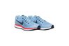 Купить Nike AIR ZOOM PEGASUS 34 880555-404 - оригинал, гарантия