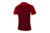Купить Футболка  T R O P H Y I I I J E R S E Y Short Sleeve Nike 881483-677 - оригинал, гарантия