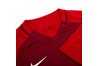 Купить Футболка  T R O P H Y I I I J E R S E Y Short Sleeve Nike 881483-677 - оригинал, гарантия