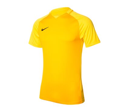 Футболка  DRY TROPHY III JSY SS Nike 881483-739
