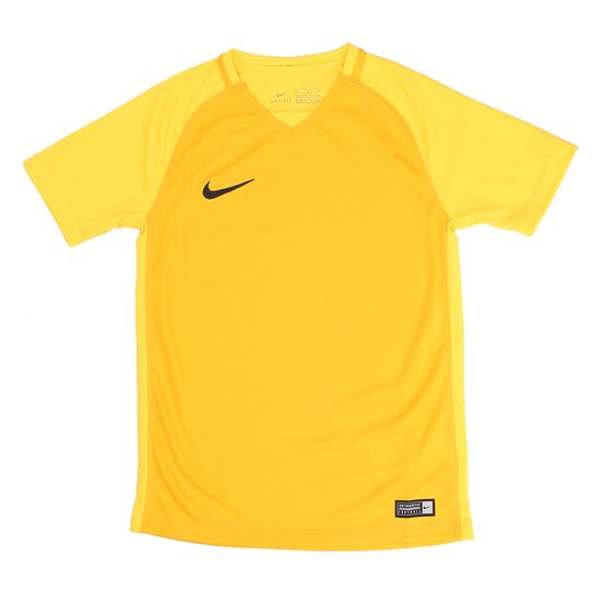 Купить Футболка  Y NK DRY TROPHY III JSY SS Nike 881484-739 - оригинал, гарантия