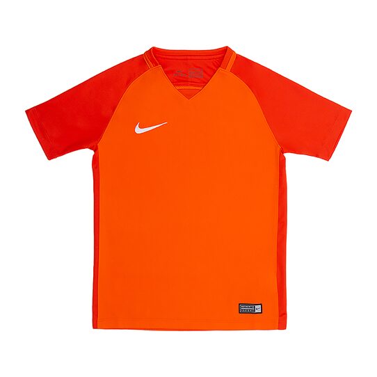 Купить Футболка  Y NK DRY TROPHY III JSY SS Nike 881484-815 - оригинал, гарантия