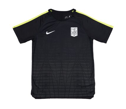 Футболка  NYR B NK DRY SQD TOP SS Nike 890800-010