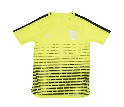 Футболка  NYR B NK DRY SQD TOP SS Nike 890800-702