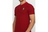 Купить Футболка  FPF M NSW GSP FRAN PQ AUT Nike 891774-677 - оригинал, гарантия